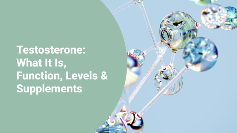 Testosterone: What It Is, Function, Levels & Supplements