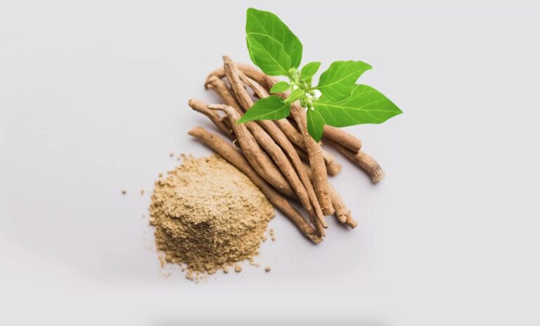 Ashwagandha for Beginners: Usage, Dosage and Side Effects